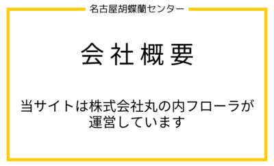 名古屋胡蝶蘭センターの会社概要